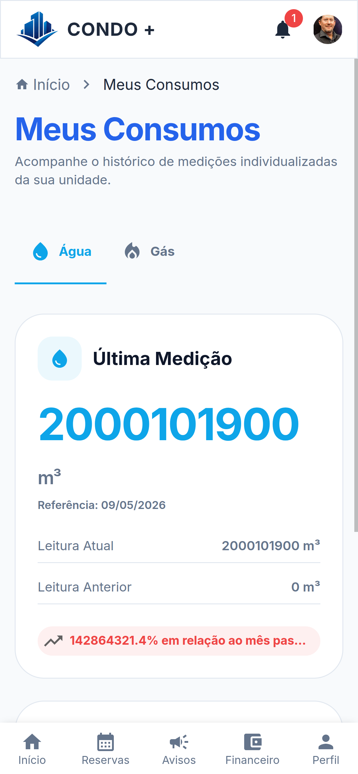 Meus Consumos — Mobile